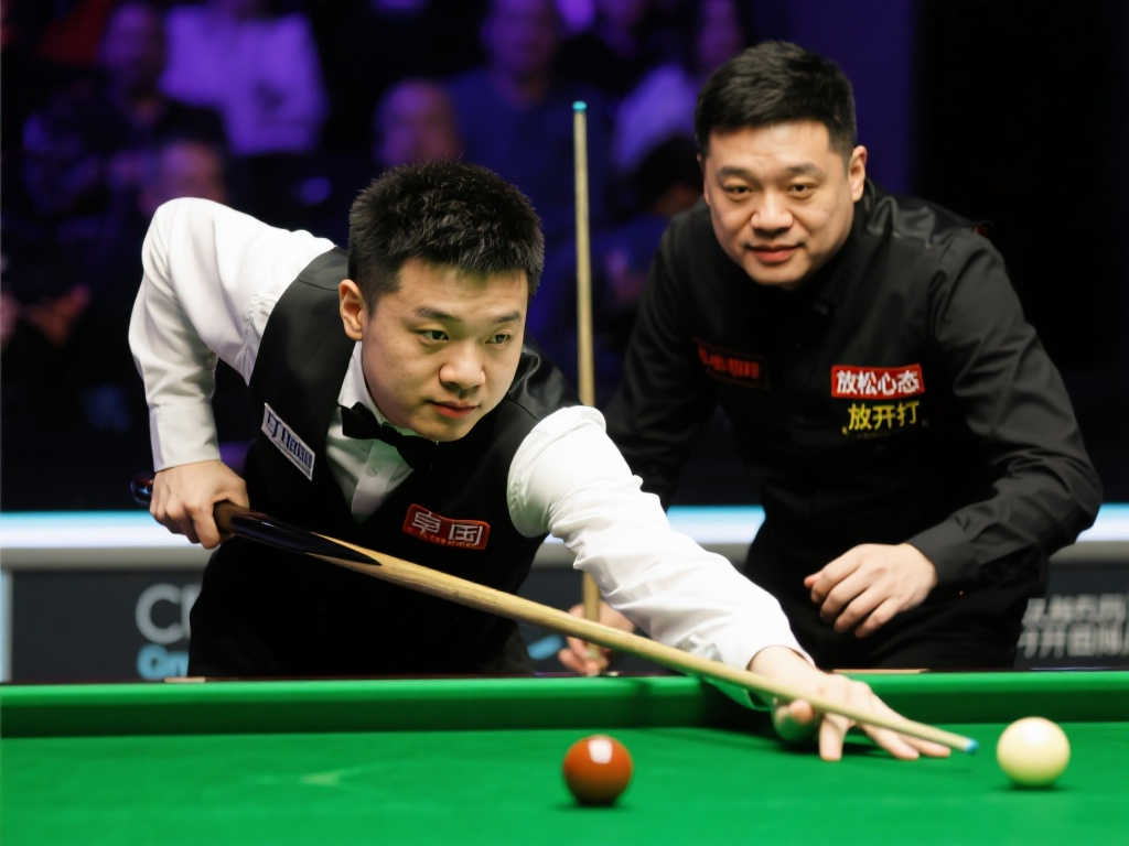 这一案例不 这一案例不