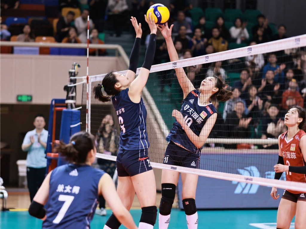 望能够带领 望能够带领